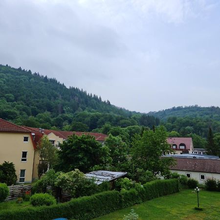 Pension Kreihe Im Harz บัดเลาเทอร์แบร์ก ภายนอก รูปภาพ