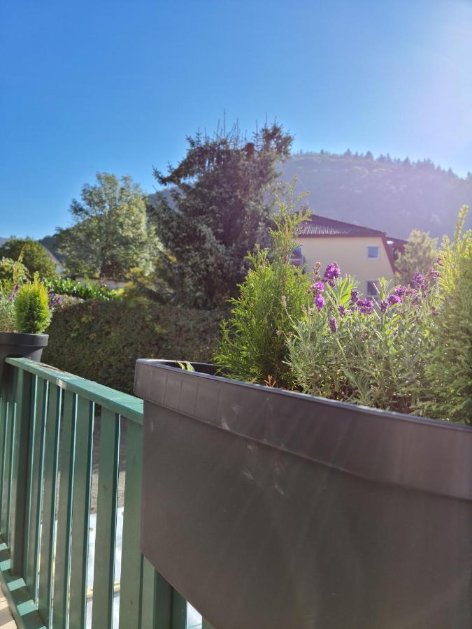 Pension Kreihe Im Harz บัดเลาเทอร์แบร์ก ภายนอก รูปภาพ