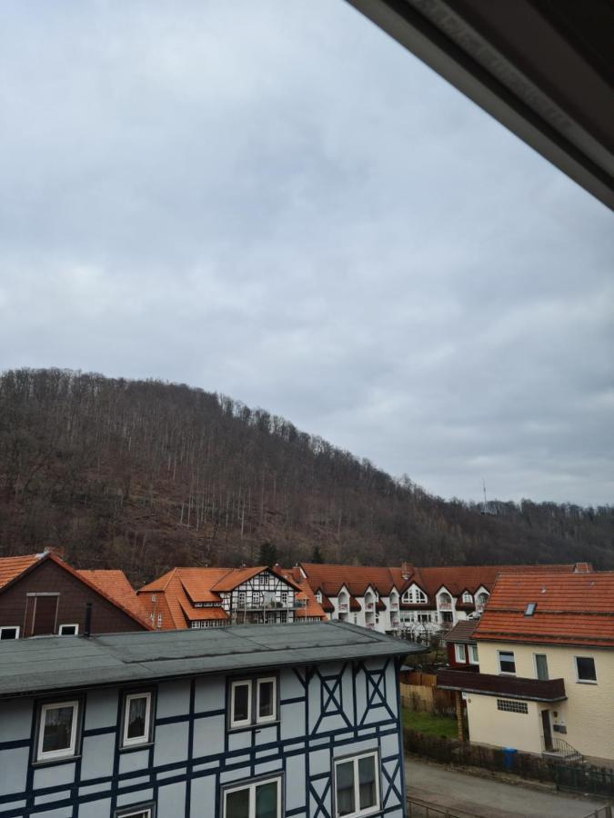 Pension Kreihe Im Harz บัดเลาเทอร์แบร์ก ภายนอก รูปภาพ
